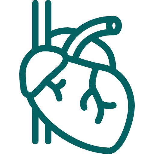 Cardiology